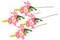 Contemporary Home Living Set of 4 30.25" Hot Pink and Green Tiger Lily Flower Centerpieces